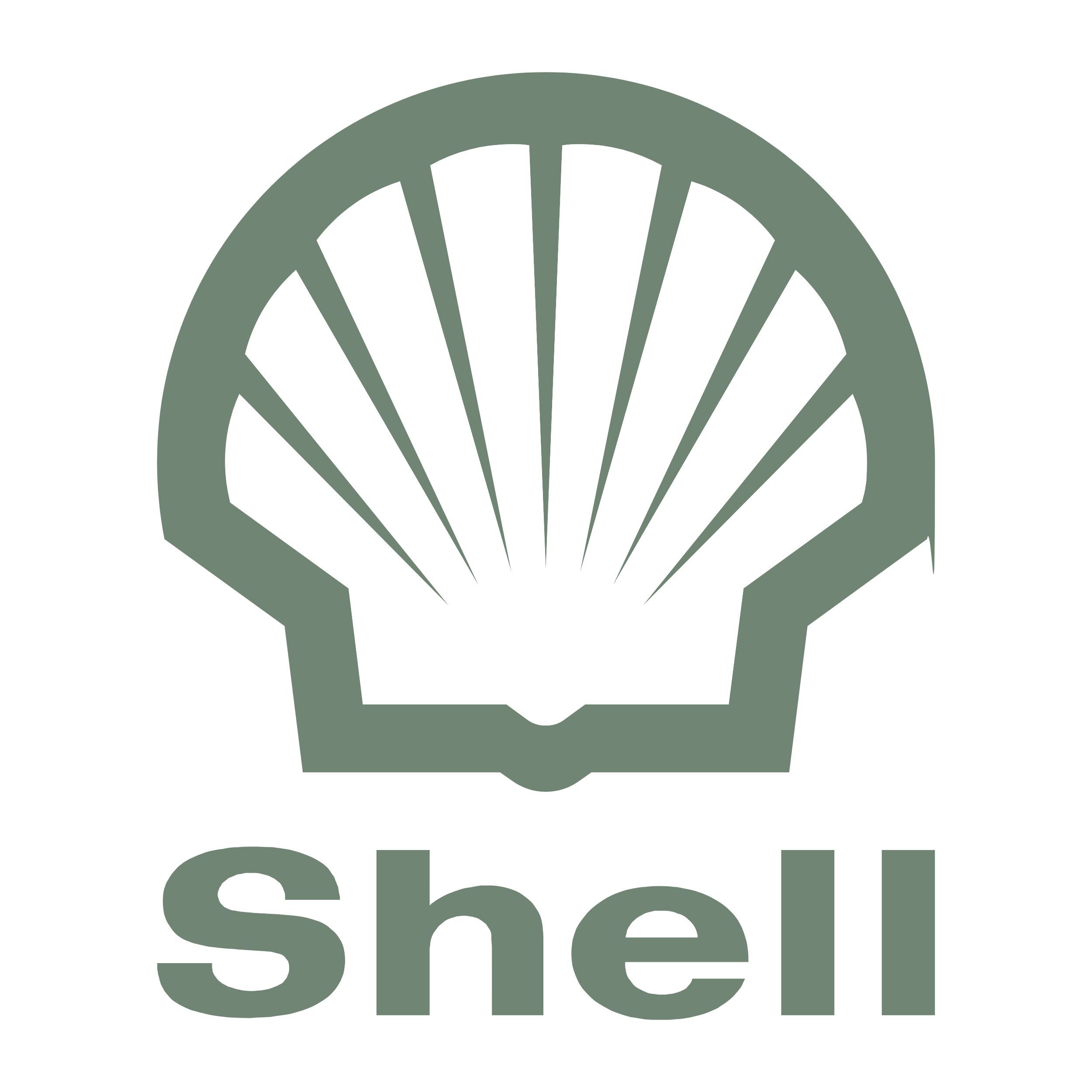 Shell grey
